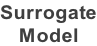 Surrogate Model